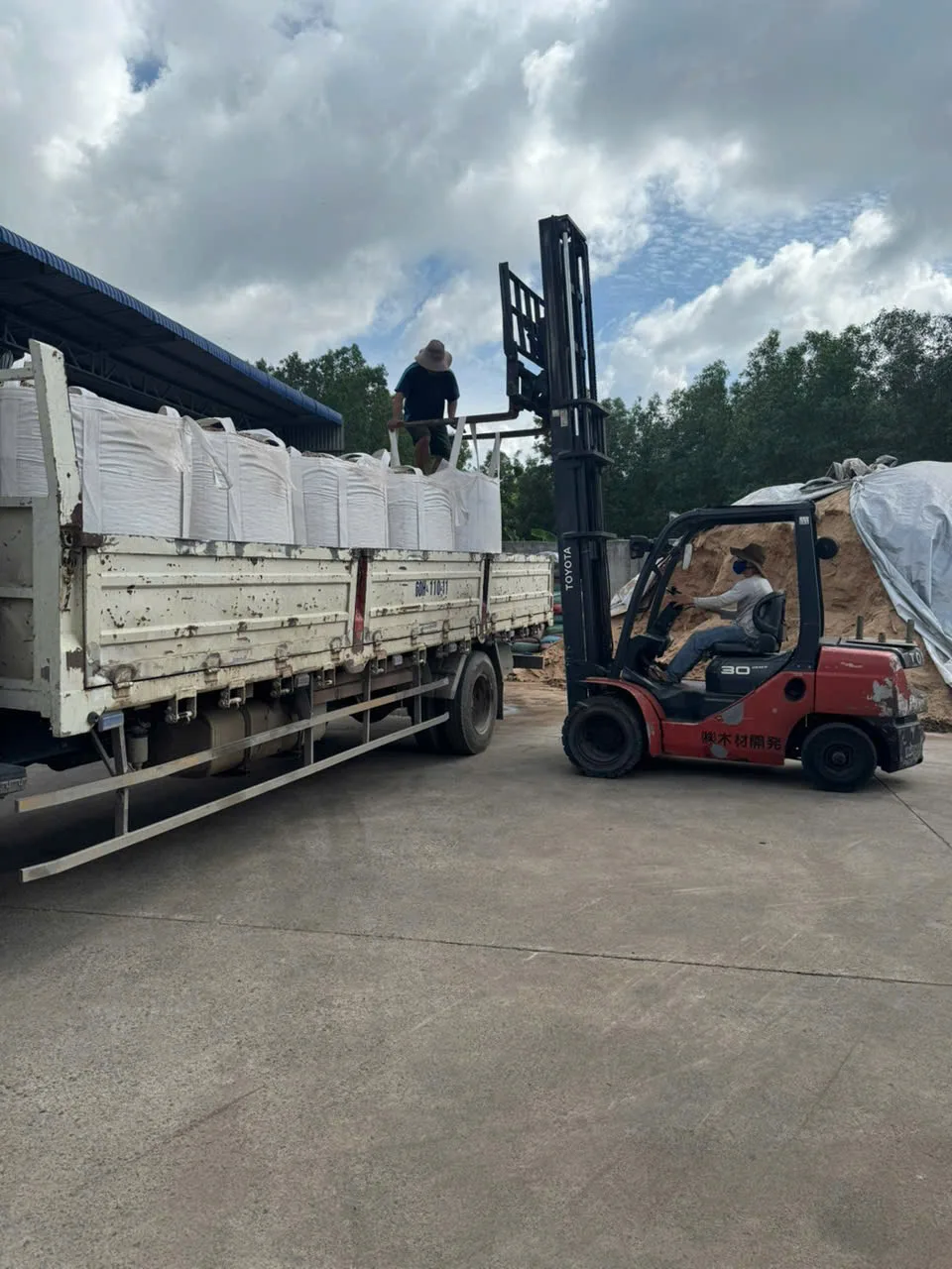 Xe nâng bốc xếp hàng lên xe tải