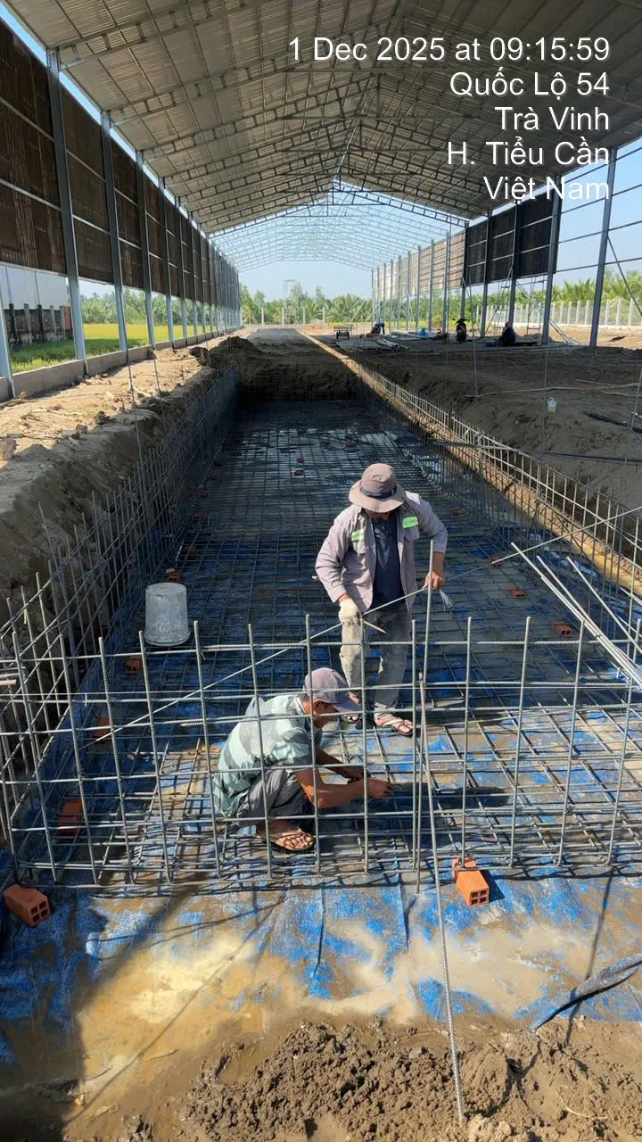 Công nhân buộc thép móng trạm cân